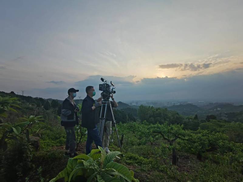 创意破圈！唐山电商产品宣传视频用故事化叙事引爆流量