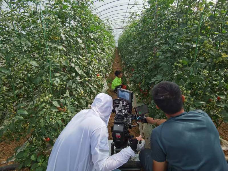 唐山产品宣传视频拍摄公司进阶指南，助力品牌抢占传播高地